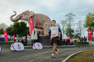 BIB: 
                            <button type="button" onclick="openModal(26529087)" class="btn btn-primary btn-sm float-right btn-popup" data-toggle="modal" data-target=".modal-high-quality">
                        <i class="fas fa-shopping-cart"></i> Add to Cart
                    </button>
                                            <button type="button" onclick="isThisMe(26529087, true)" class="btn btn-success btn-sm float-right btn-popup btn-isme hidden" data-toggle="tooltip" data-placement="bottom" title="นี่คือรูปของคุณใช่ไหม คลิกที่นี่เพื่อเอาเข้าอัลบั้ม">
                        <i class="fas fa-plus"></i> Add to album
                    </button>
                    <button type="button" onclick="isThisMe(26529087, false)" class="btn btn-warning btn-sm float-right btn-popup btn-isnotme hidden">
                        <i class="fas fa-ban"></i> Remove from album
                    </button>